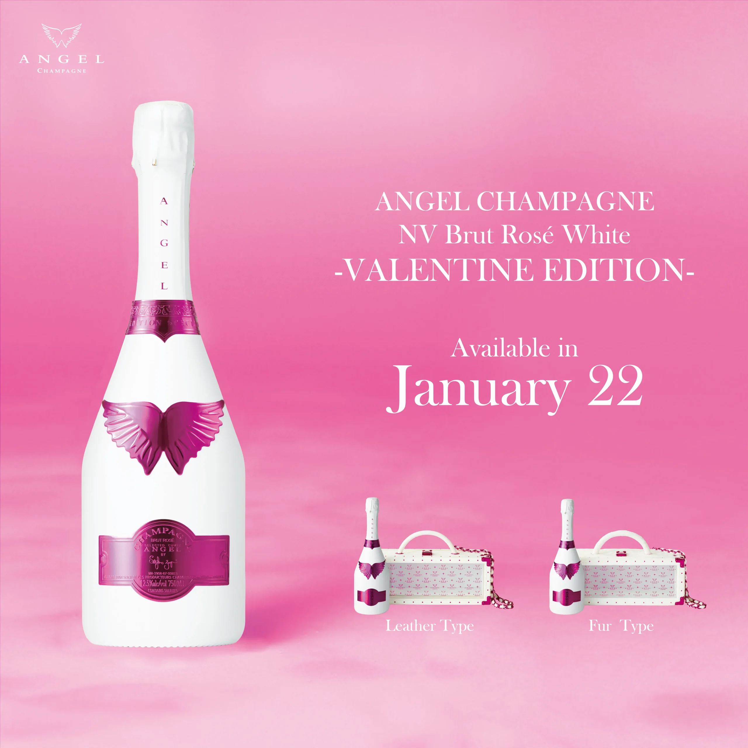 RELEASE | ANGEL CHAMPAGNE